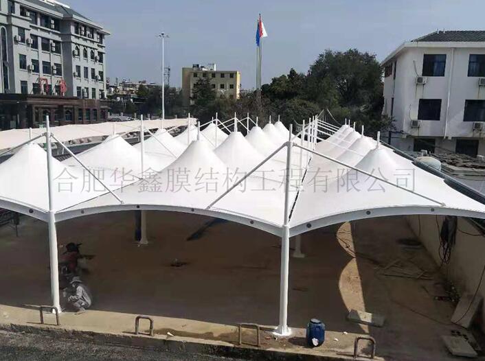 ���������A�t�����FĤ�Y��܇��
